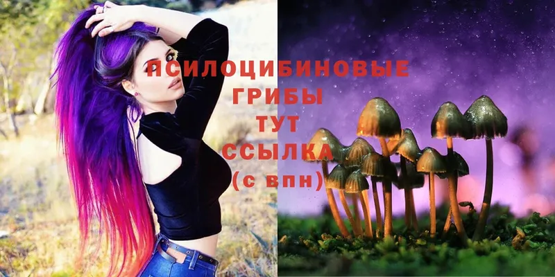 Галлюциногенные грибы Magic Shrooms  МЕГА рабочий сайт  Бронницы 